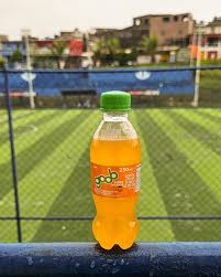 Refri Goob Laranja 230ml
