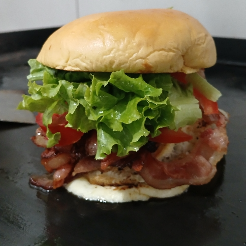 Burguer Tudo